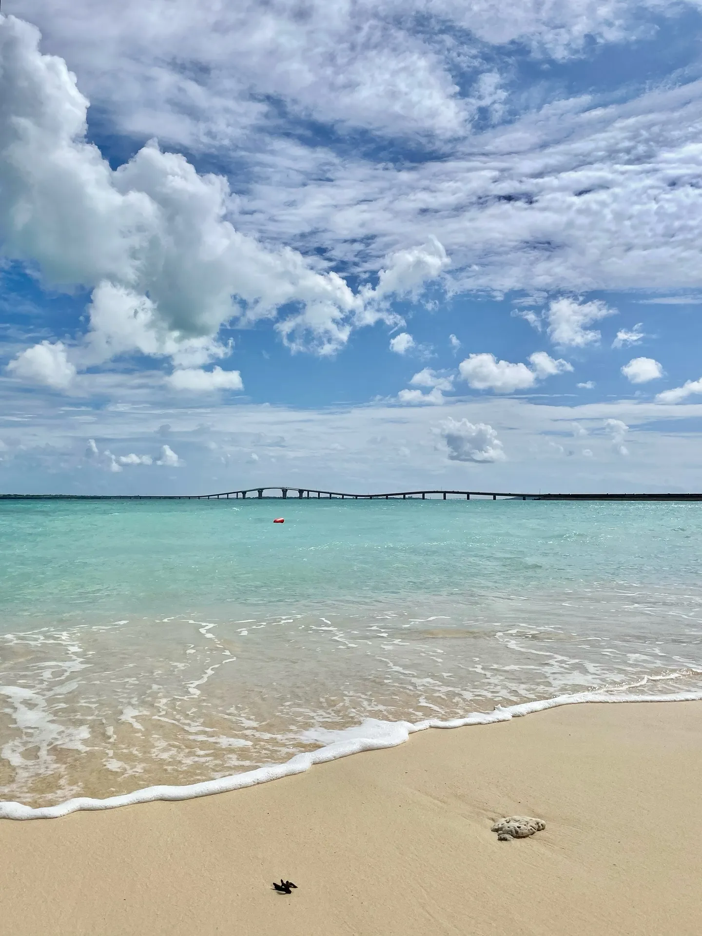 鹿児島はすっかり秋の気候になり、日中は過ごしやすい季節となり...